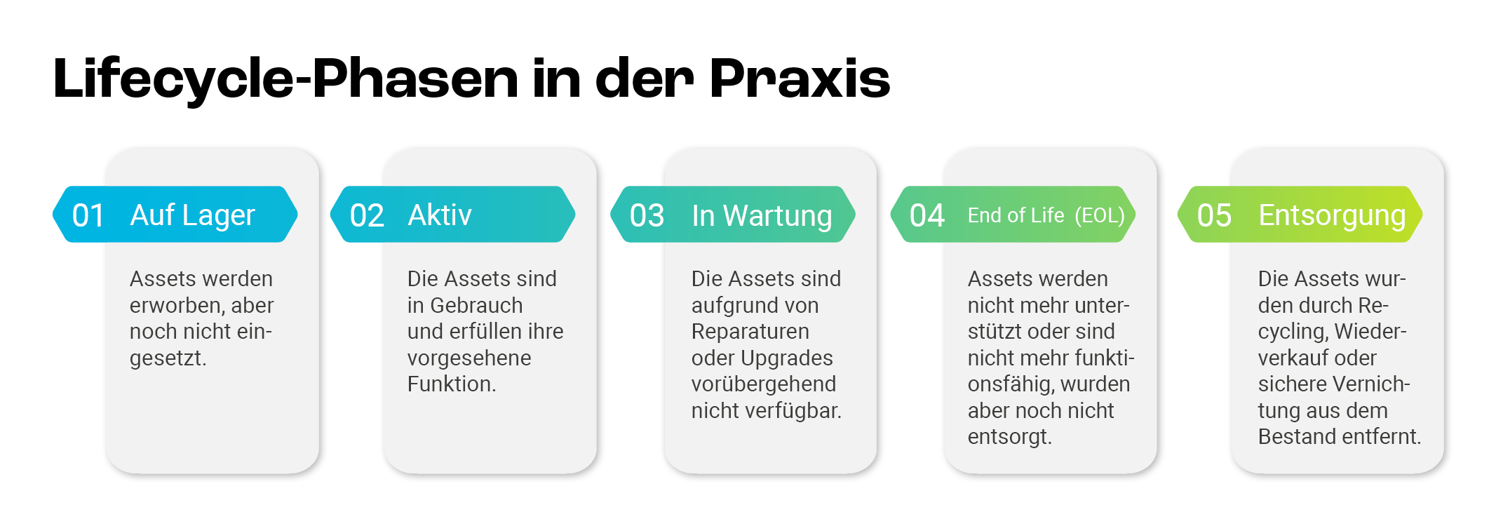 Lebenszyklusphasen in der Praxis